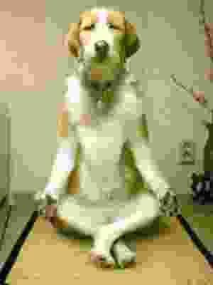 my current piclog image